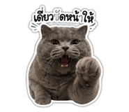 881539573
