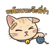 881539998