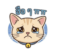 881540002