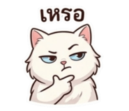 881540557
