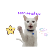 881541159