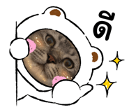 881552593