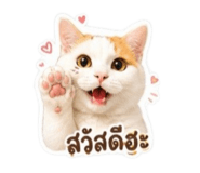881555737