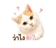 881555747