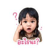881562555