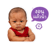 881564455