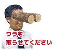 881576252