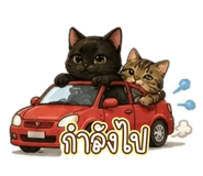 881585943