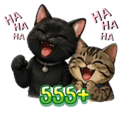 881585949