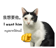 881585993