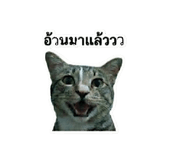 881586369