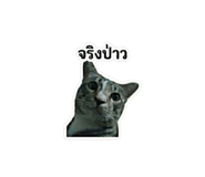 881586371