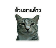 881586376