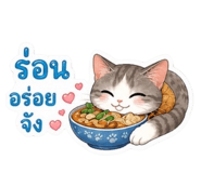 881587238
