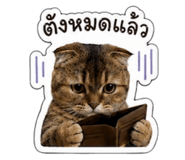 881593701