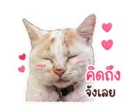 881608214