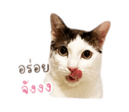 881629725