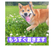 881636252