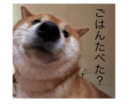 881636254