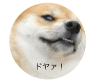 881636255