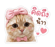 881639040