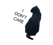 881640346