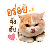 881650039