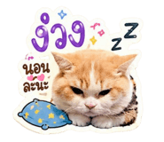 881650040