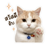 881650045