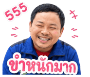 881653374