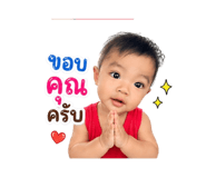 881653654
