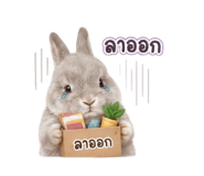 881661411