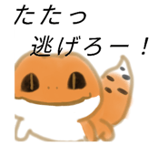 881673091