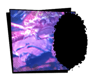 881675317
