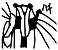 881675428