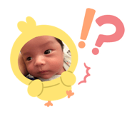 881675529