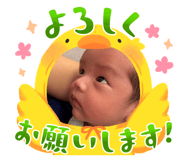 881675531