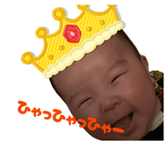 881675574