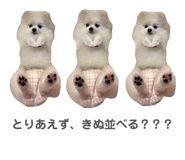 881676466