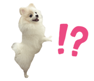 881676474