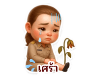 881713543