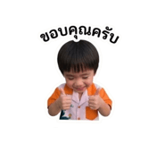 881756817