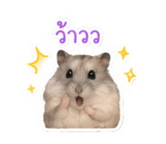 881756857