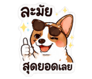 881760243