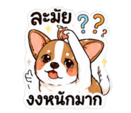 881760250