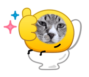 881760565