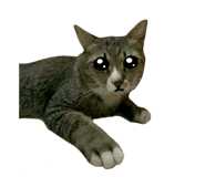 881760786
