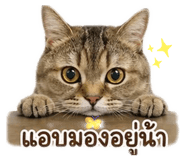 881761842