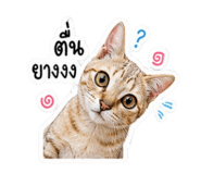 881763069