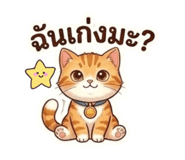 881763213